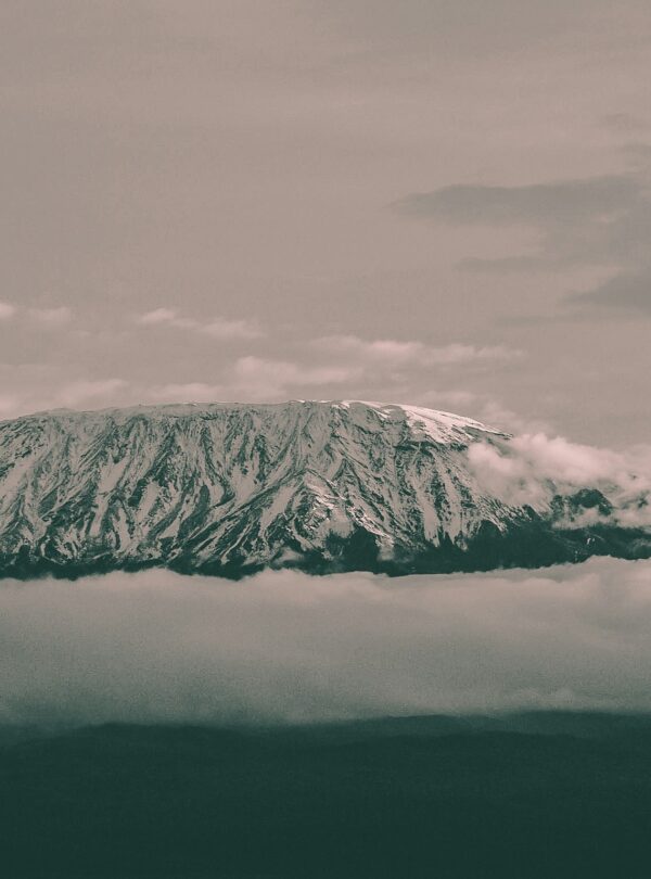 harshil-gudka–2qN2QQwT8s-unsplash