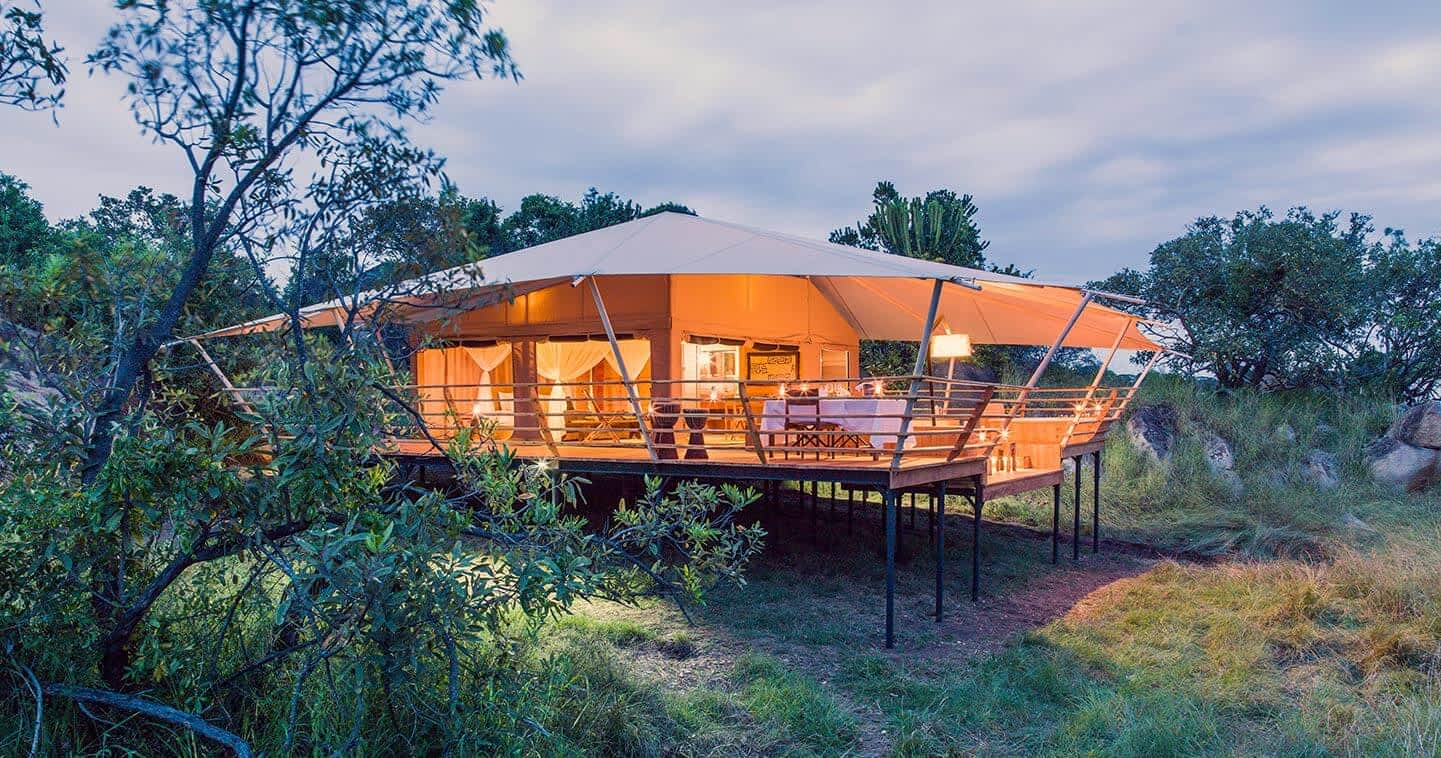 Luxury Safaris