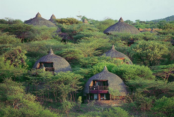 Lodge Safaris