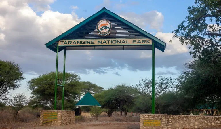 tarangire-location (1)